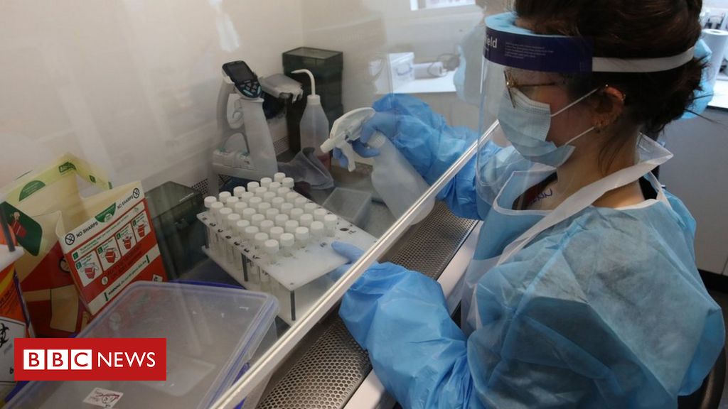 Coronavirus: "Sehr signifikante" Wiederauferstehungen in Europa alarmieren die WHO