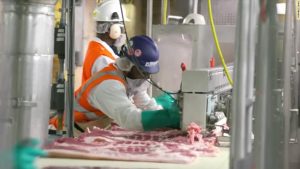 Fleischverpackungsanlagen werden zu den neuesten Covid-19-Brutstätten