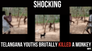 Telangana shocker: Monkey dies after being hanged from tree; accused booked