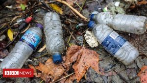 Themse 'stark mit Plastik verschmutzt'