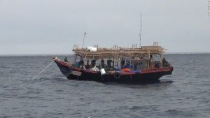 Nordkoreas "Geisterschiffe" wurden in Japan wegen Chinas "dunkler" Fischereiflotte angespült, sagt NGO