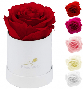 Rosenlieb Rosenbox Weiß mit Infinity Rosen (bis 3 Jahre haltbar)|Echte Rosen|Inklusive Grußkarte
