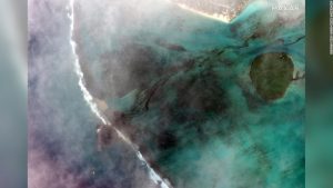 Mauritius erklärt Umweltnotstand, da bei einem Schiffbruch Tonnen Diesel und Öl ins Meer gelangen