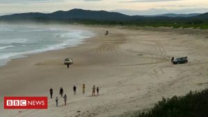 Der australische Surfer rettet seine Frau, indem er einen Hai schlägt
