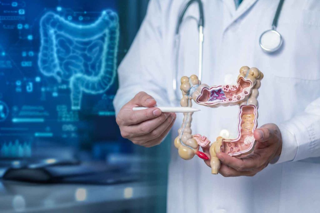 Darmmikrobiom im Fokus: Neue Erkenntnisse zu Lupus, Multipler Sklerose und chronisch-entzündlichen Darmerkrankungen