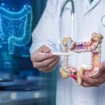 Darmmikrobiom im Fokus: Neue Erkenntnisse zu Lupus, Multipler Sklerose und chronisch-entzündlichen Darmerkrankungen